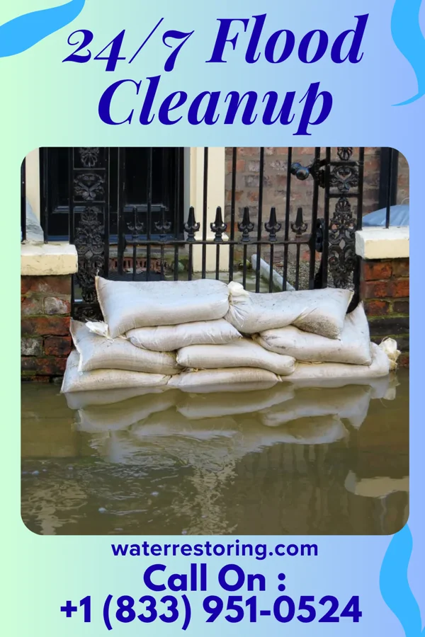 24/7 Flood Cleanup in Loudoun Valley Estates, VA