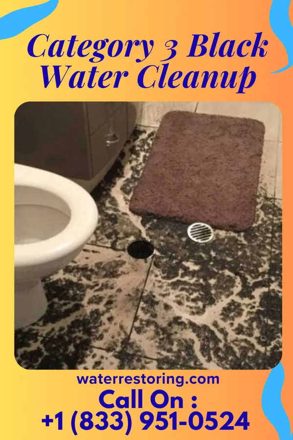 Category 3 Black Water Cleanup in Loudoun Valley Estates, VA