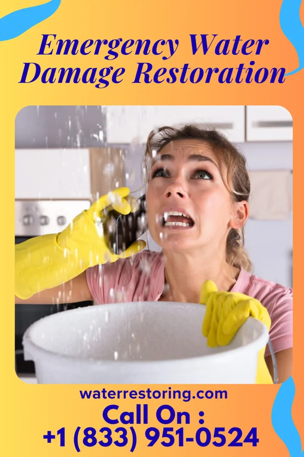 Emergency Water Damage Restoration in Loudoun Valley Estates, VA