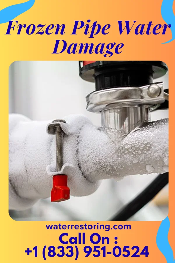 Frozen Pipe Water Damage in Loudoun Valley Estates, VA