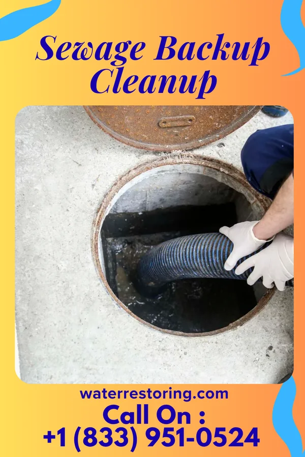 Sewage Backup Cleanup in Loudoun Valley Estates, VA